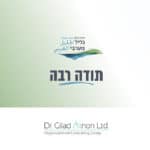מצגת
