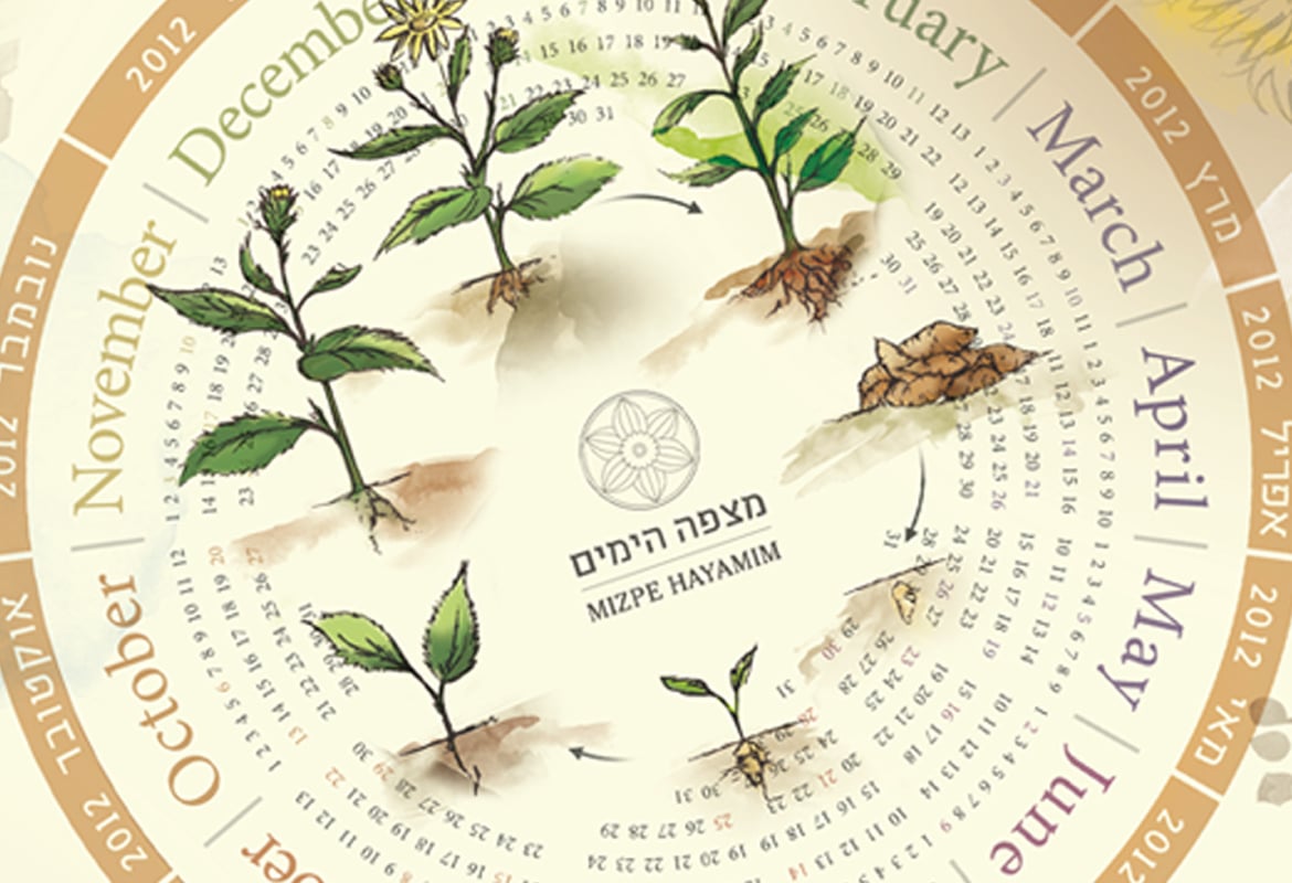 לוח שנה 2012-2013
