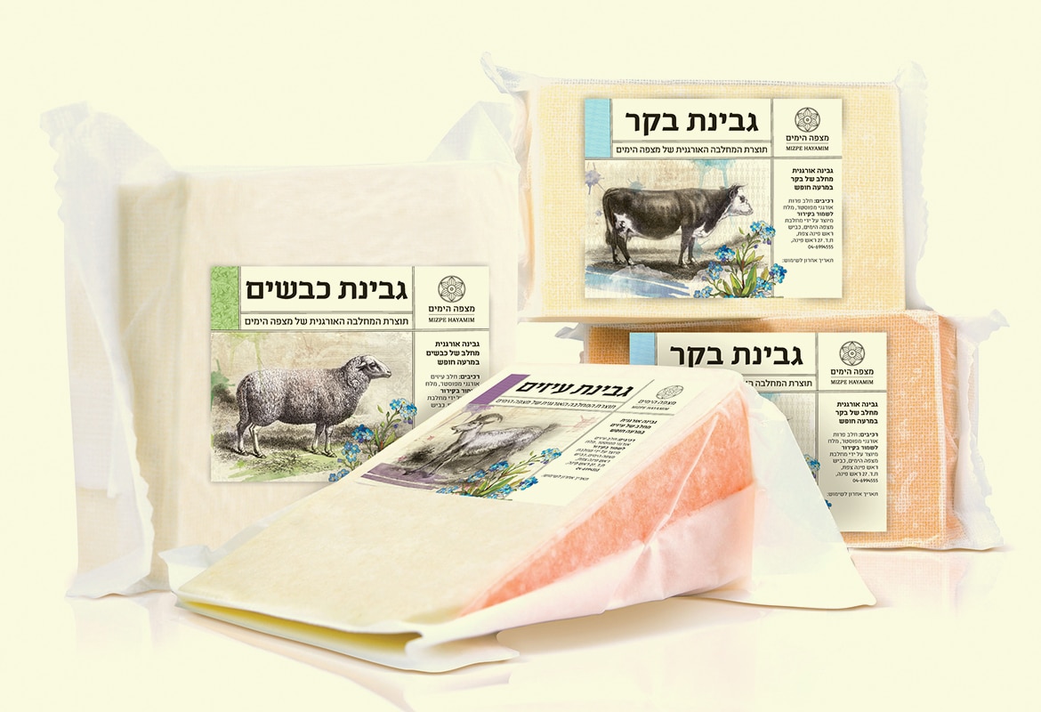 מדבקות לגבינות מלון מצפה הימים
