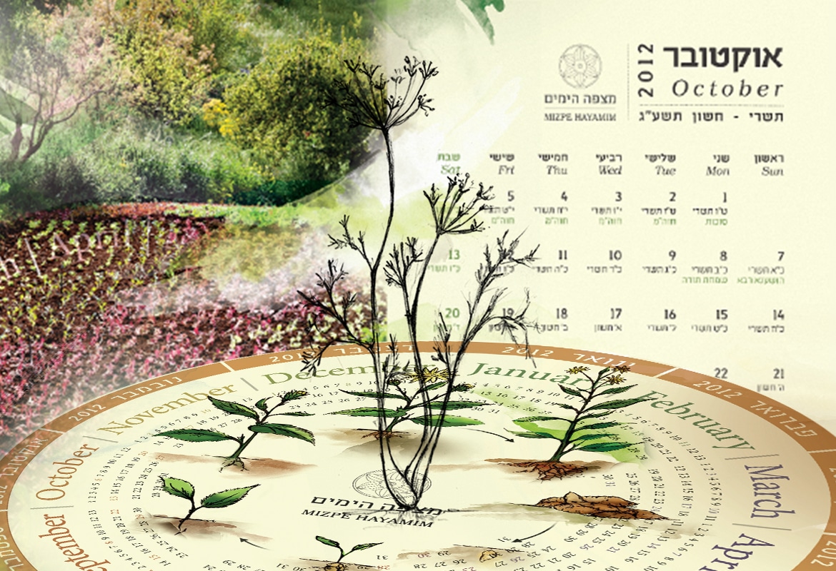 לוח שנה 2012-2013