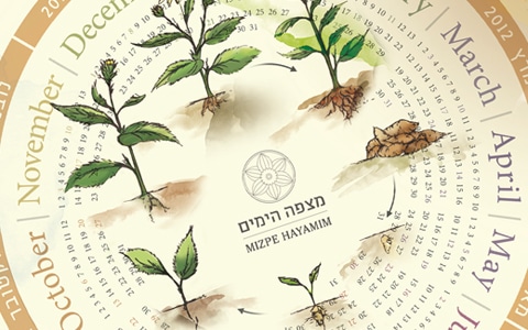 מלון מצפה הימים