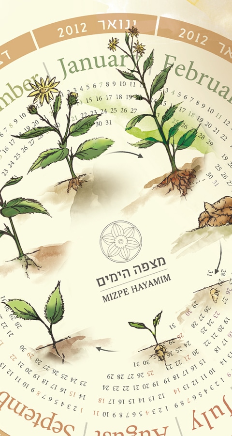 מלון מצפה הימים