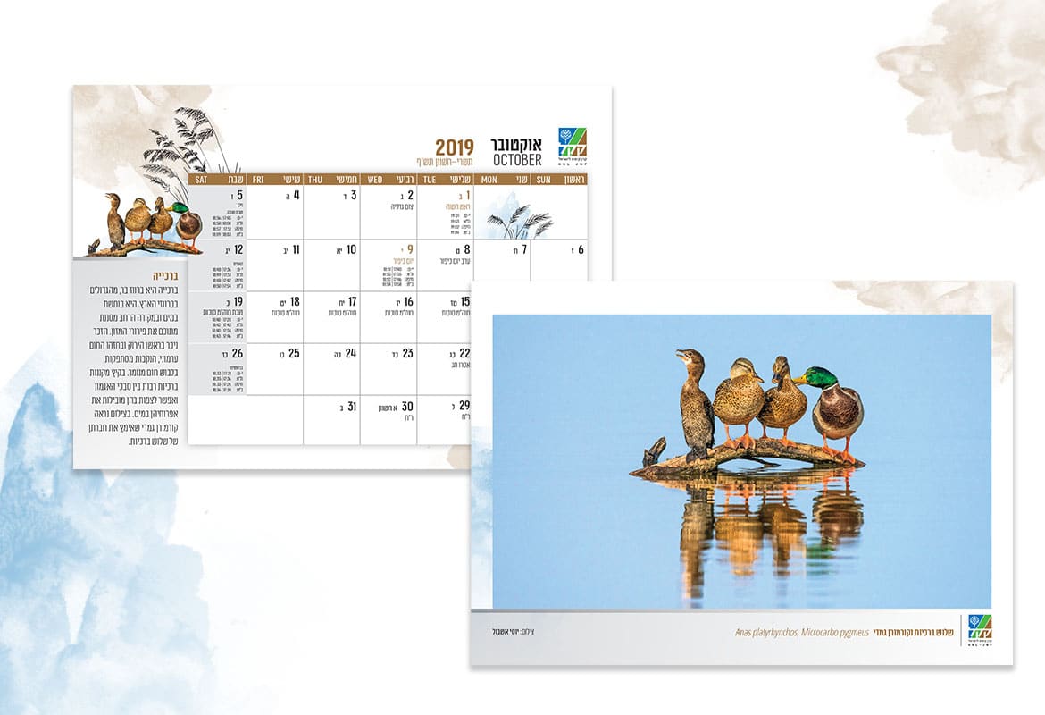 לוח שנה 2019-2020