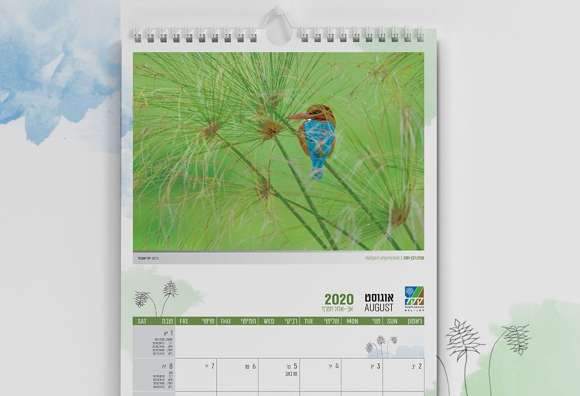 לוח שנה אגמון החולה 2021-2020