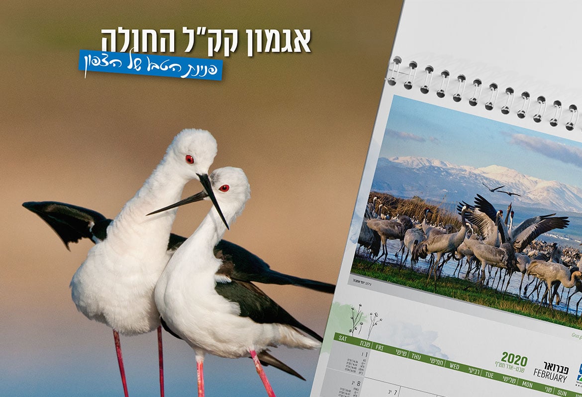 לוח שנה אגמון החולה 2021-2020