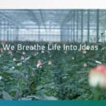 agl website