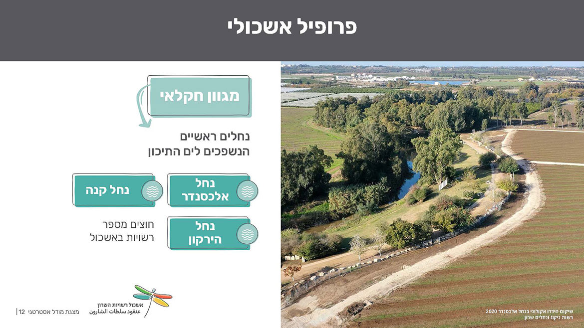 אשכול רשויות השרון